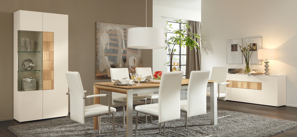 modern dining rooms 2014