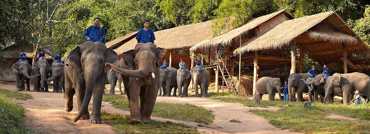 19-Anantara Golden Triangle Elephant Camp & Resort
