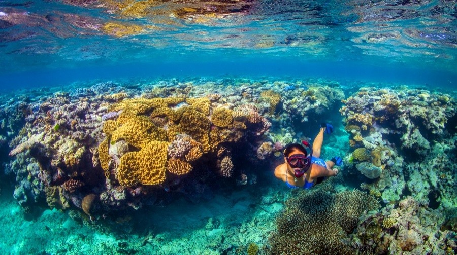 32-Great-Barrier-Reef-Australia