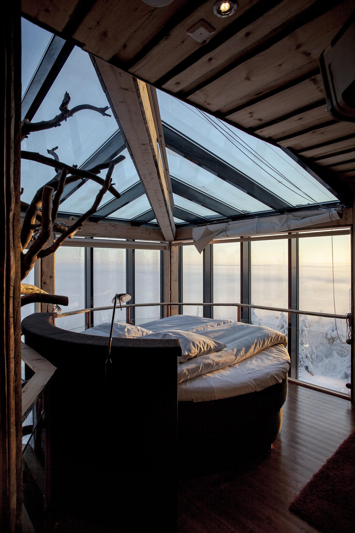 bedroom cool dream suite designs eagles night glass roof tree bedrooms amazing ceiling bed most window hotel finland iso treehouse