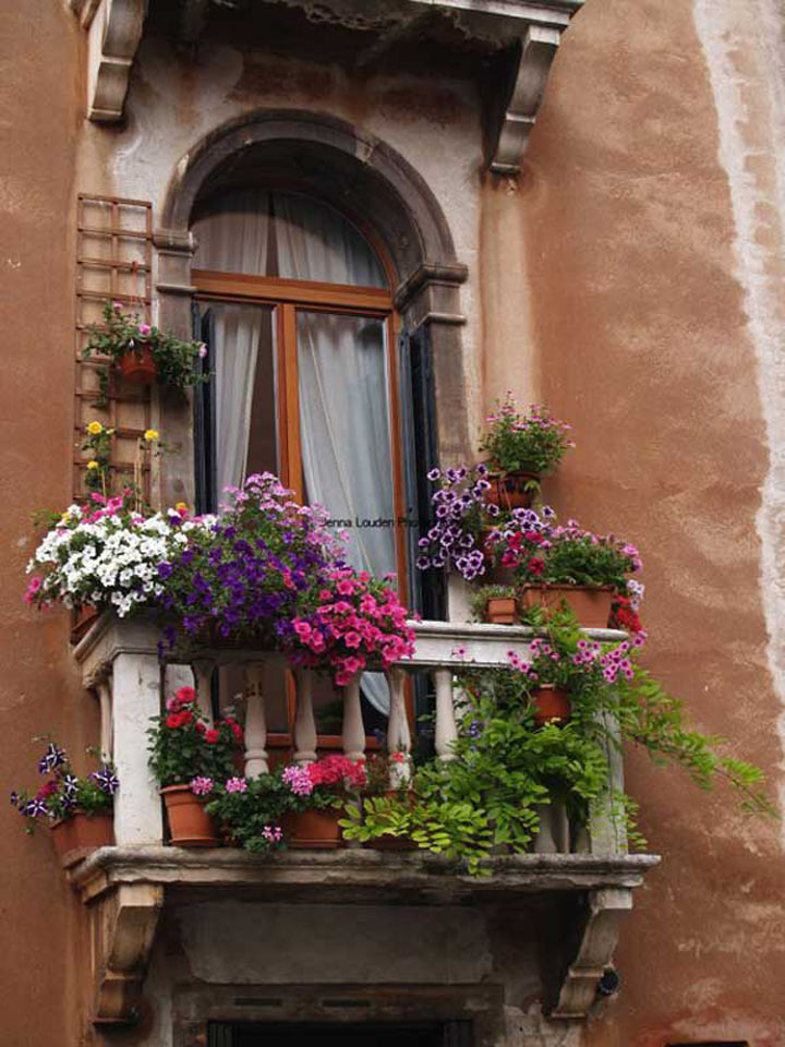 balcony gardens magnificent plants flowers balconies italy window venice hanging flowered porch lovely patio growing flores балкон basket cactus juliet
