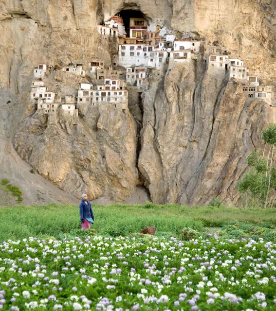 40-Phuktal_Monastery_in_Ladakh_India