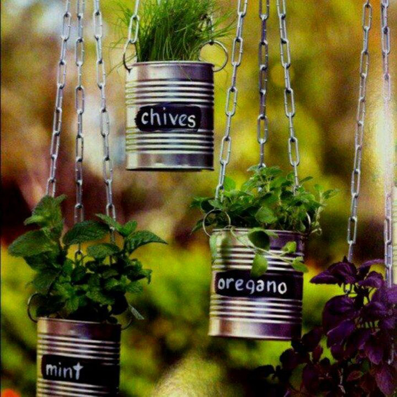 AD-Creative-DIY-Gardening-Ideas-With-Recycled-Items-5