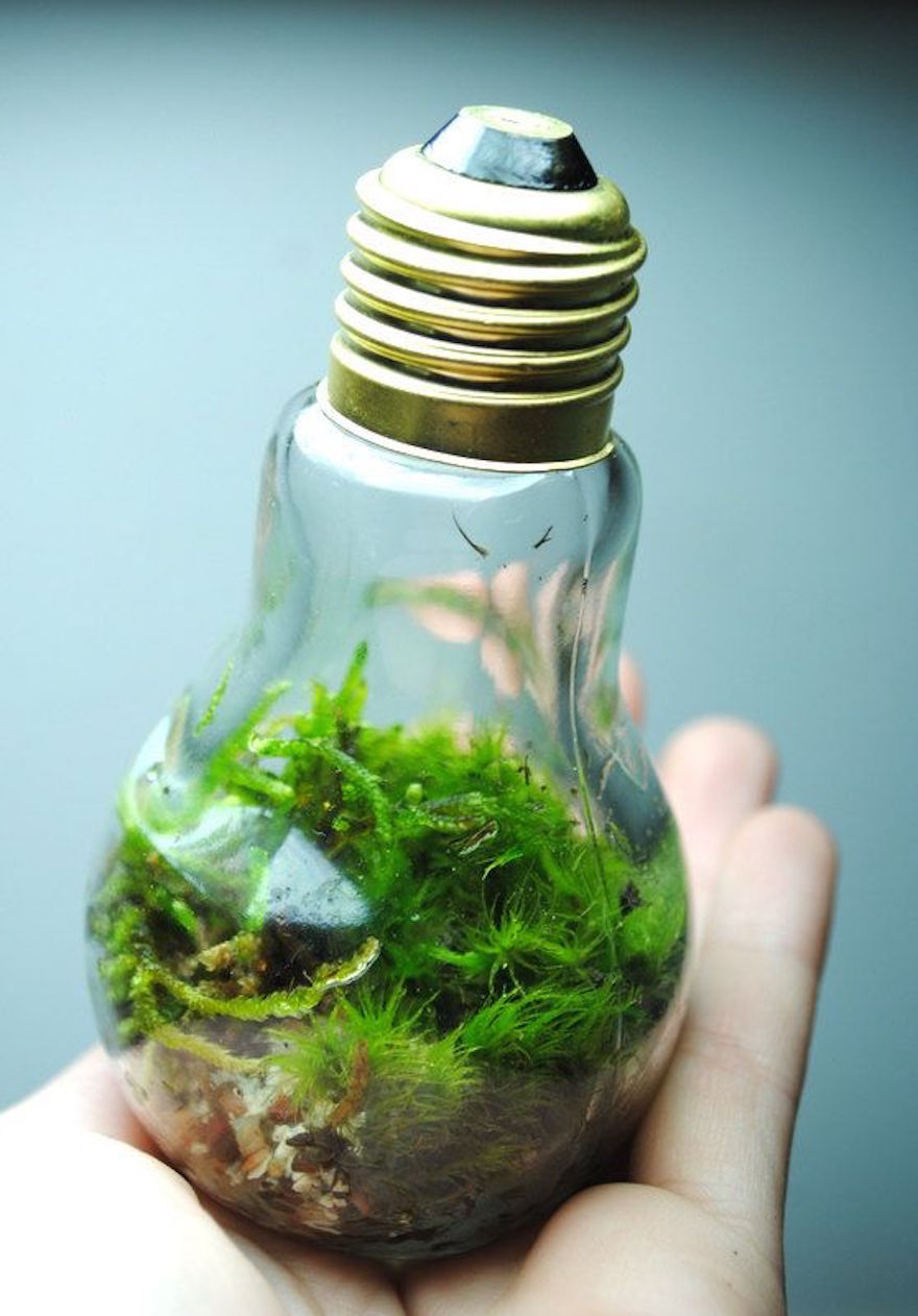 AD-Ideas-For-Recycling-Light-Bulbs-06