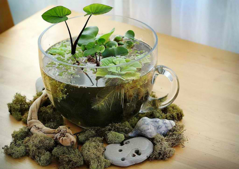 25+ Adorable Miniature Terrarium Ideas For You To Try