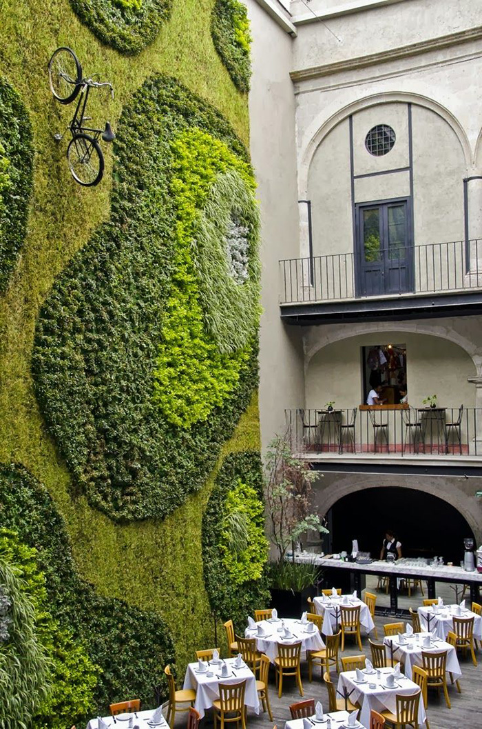 Moss Walls: The Interior Design Trend That Turns Your Home Into A