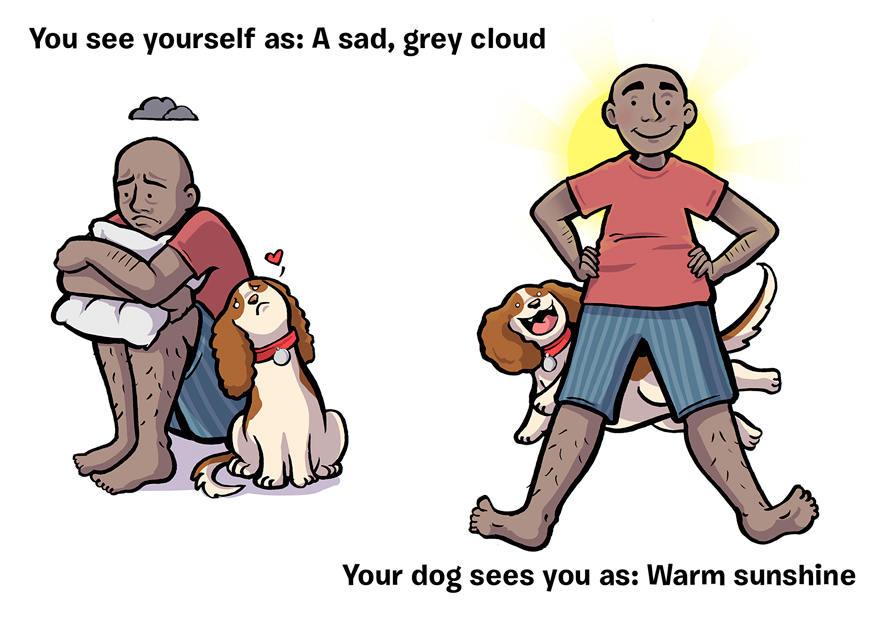 AD-How-You-See-Yourself-Vs-How-Your-Dog-Sees-You-11