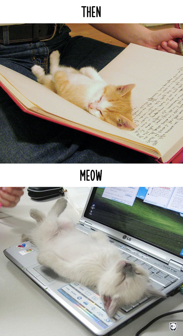 AD-Then-Now-How-Technology-Has-Changed-Cats-Lives-02