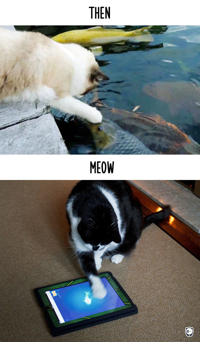 AD-Then-Now-How-Technology-Has-Changed-Cats-Lives-07