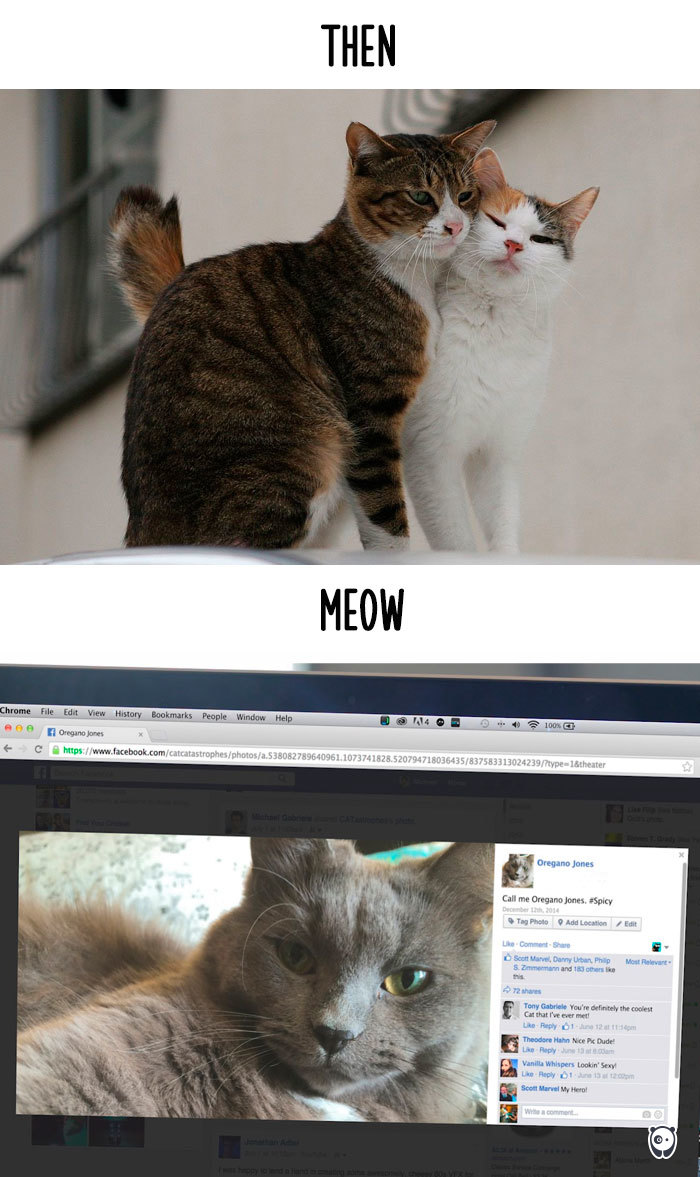 AD-Then-Now-How-Technology-Has-Changed-Cats-Lives-09