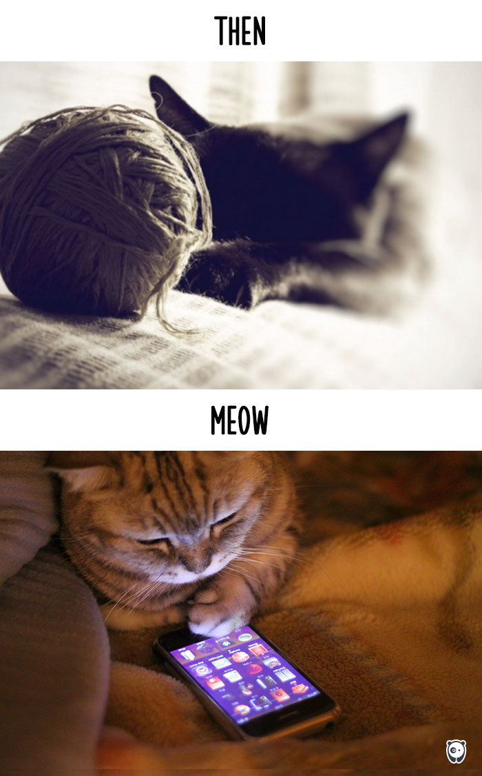 AD-Then-Now-How-Technology-Has-Changed-Cats-Lives-10