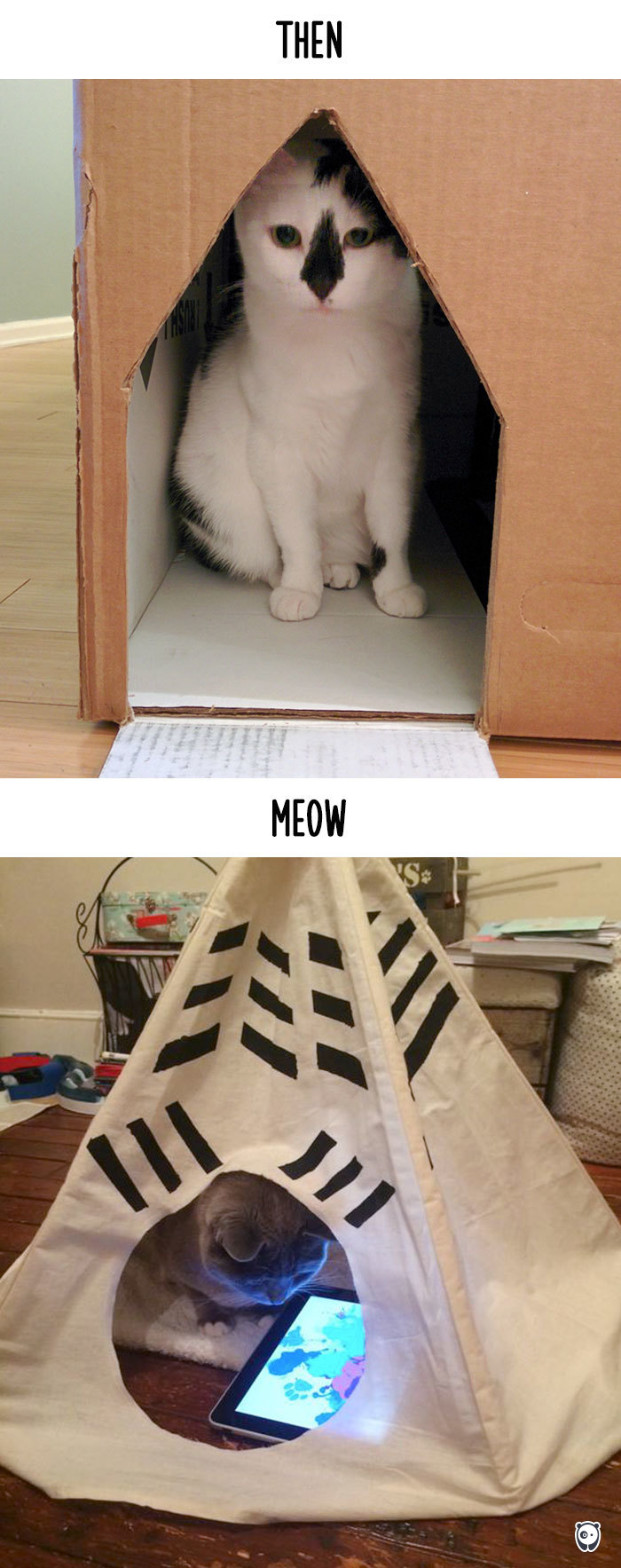 AD-Then-Now-How-Technology-Has-Changed-Cats-Lives-12