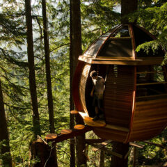 Most Amazing Treehouses From Around the World