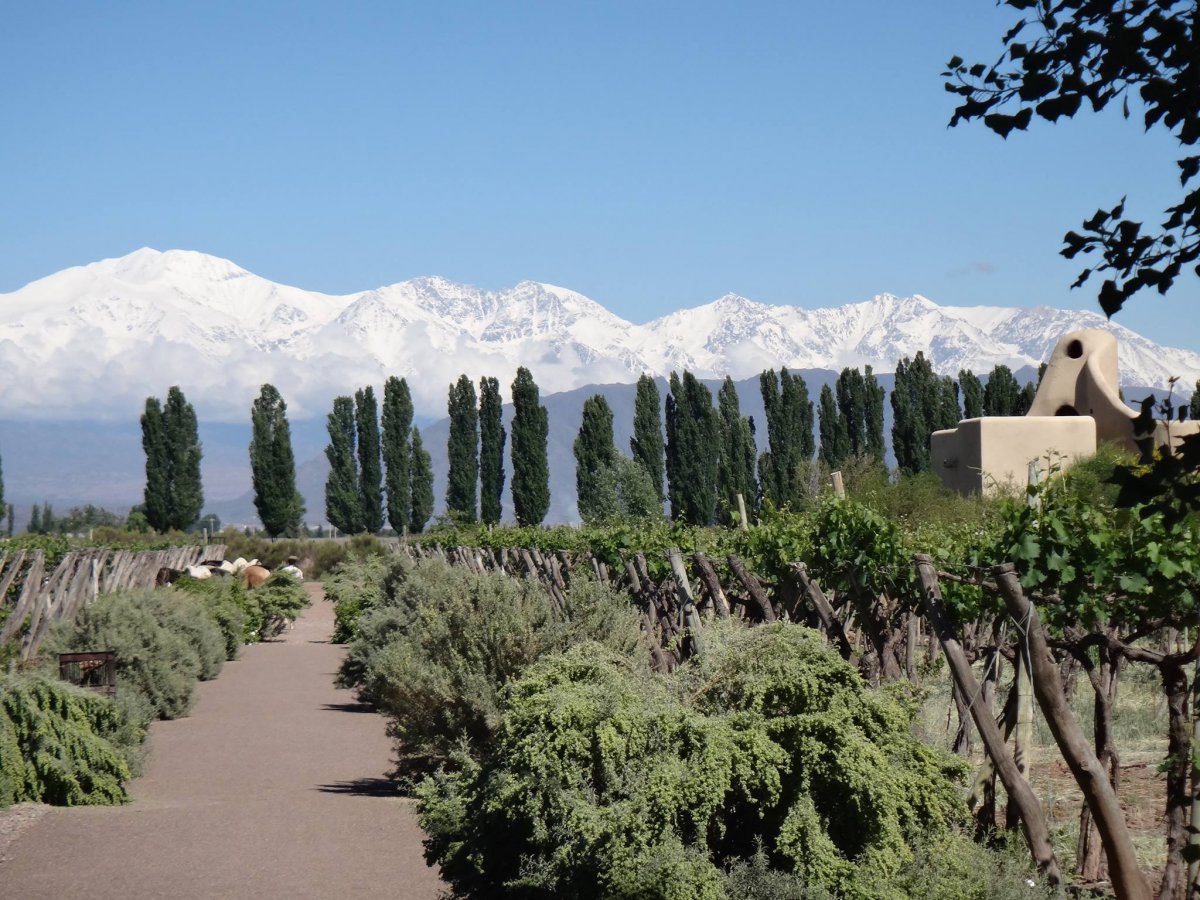 #17: Cavas Wine Lodge, Mendoza, Argentina 