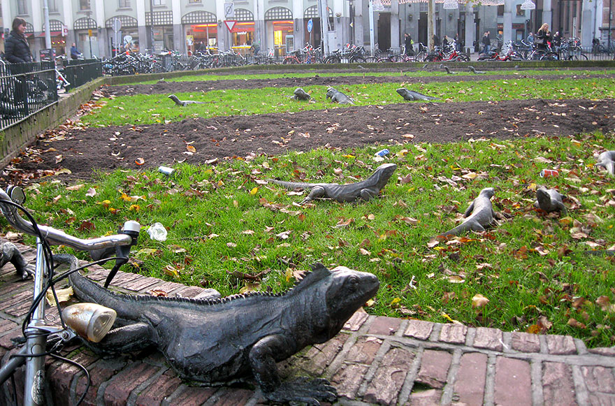 Iguana Park, Amsterdam, The Netherlands