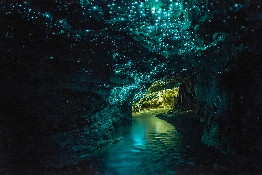 Glowworm Caves In Waitomo, New Zealand