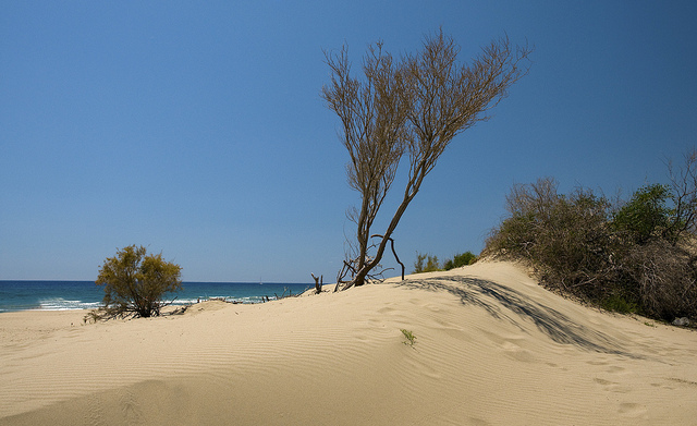 Dunes of Patara