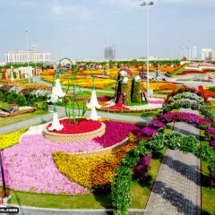 Dubai Miracle Garden: The World’s Biggest Natural Flower Garden With Over 45 Million Flowers