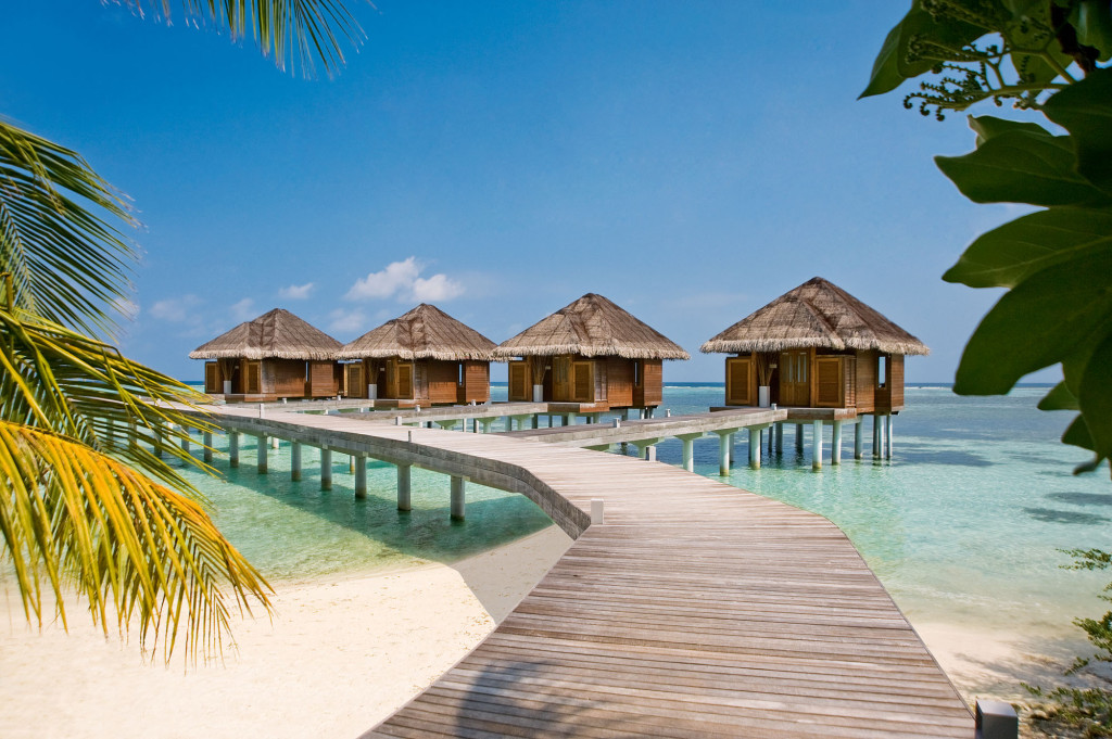Ari Atoll, Maldives без смс