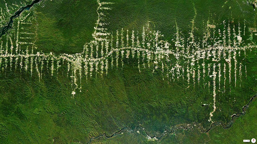 Amazon Rainforest Deforestation, Para, Brazil