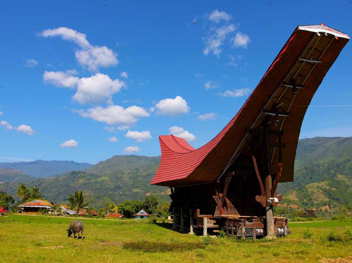Step off the beaten path and visit the indigenous villages of Tana Toraja, Indonesia.