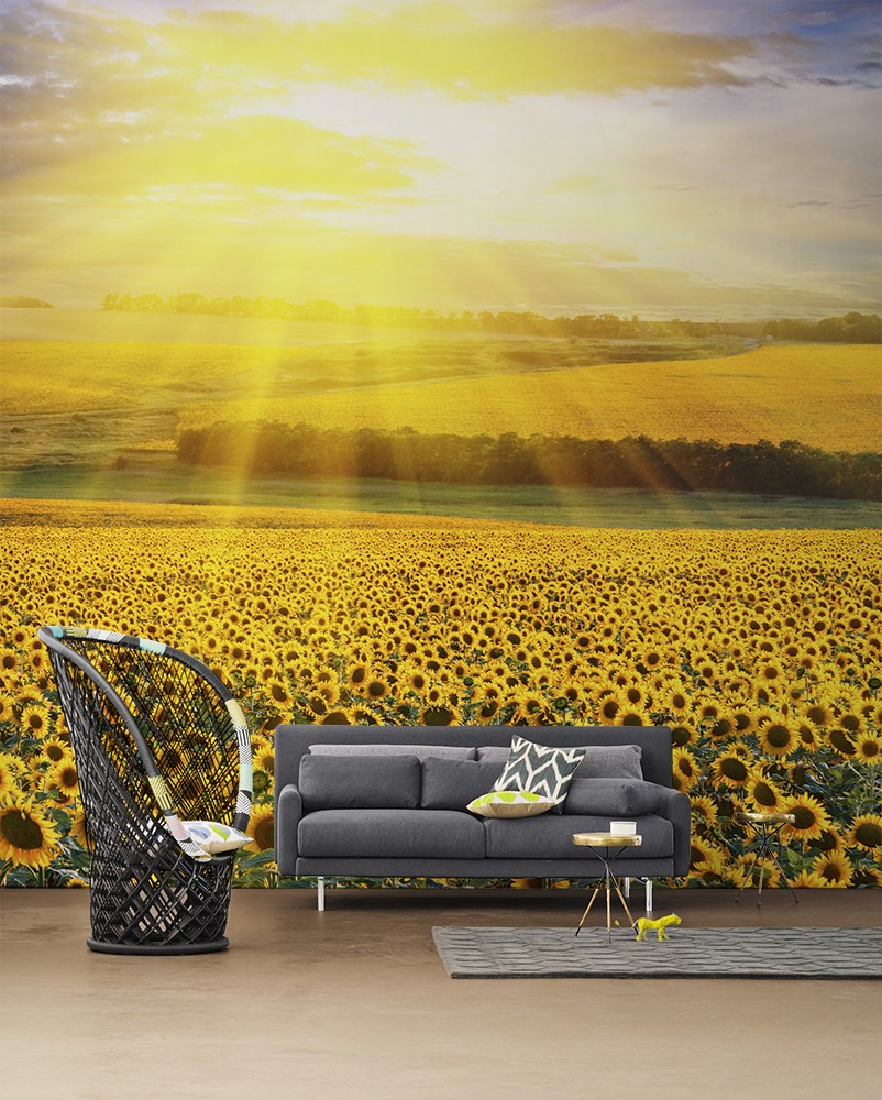 1-Sunflowers-Wall-Mural-by-PIXERS