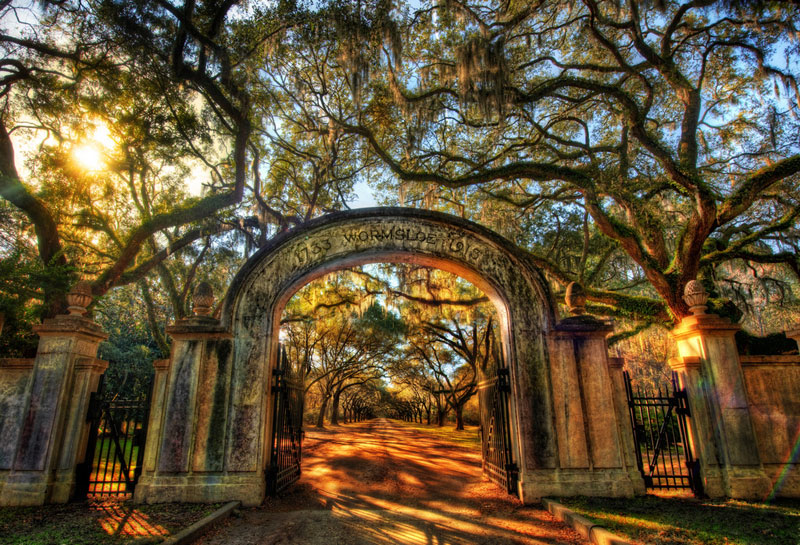 Georgia, Wormsloe Historic Site, Savannah