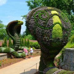 12 Of The Giant Living Sculptures At Atlanta Botanical Gardens’ Exhibition