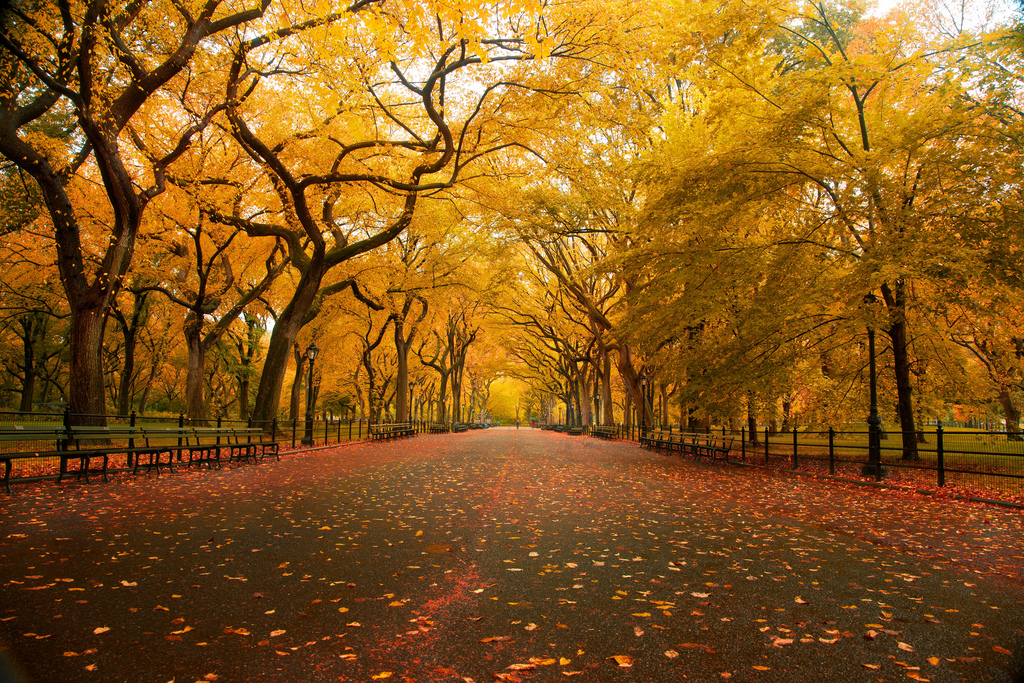 New York, Central Park, New York City