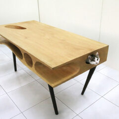 24 Awesome Furniture Design Ideas For Cat Lovers