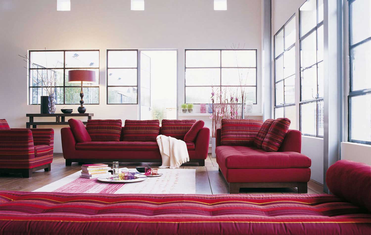 Modern Sofas by Roche Bobois
