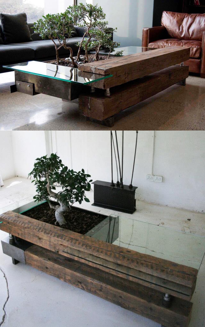 3-bonsai-coffee-table