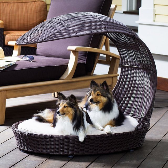 37-Outdoor-Dog-Chaise-Lounger