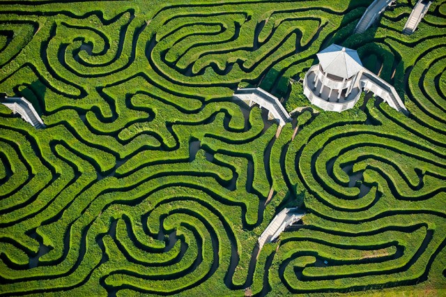 Maze At Longleat, England