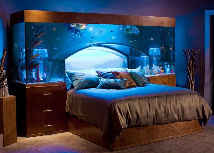Aquarium Bed Acrylic Tank