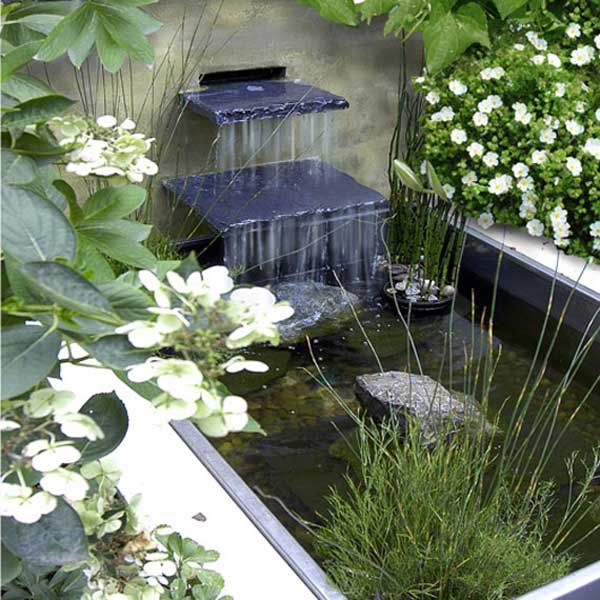 backyard-pond-water-garden-15