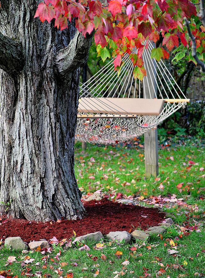 5-backyard-hammock-hang-it-in-backyard