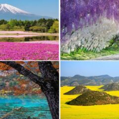 The 22 Most Unbelievably Colorful Places On Earth