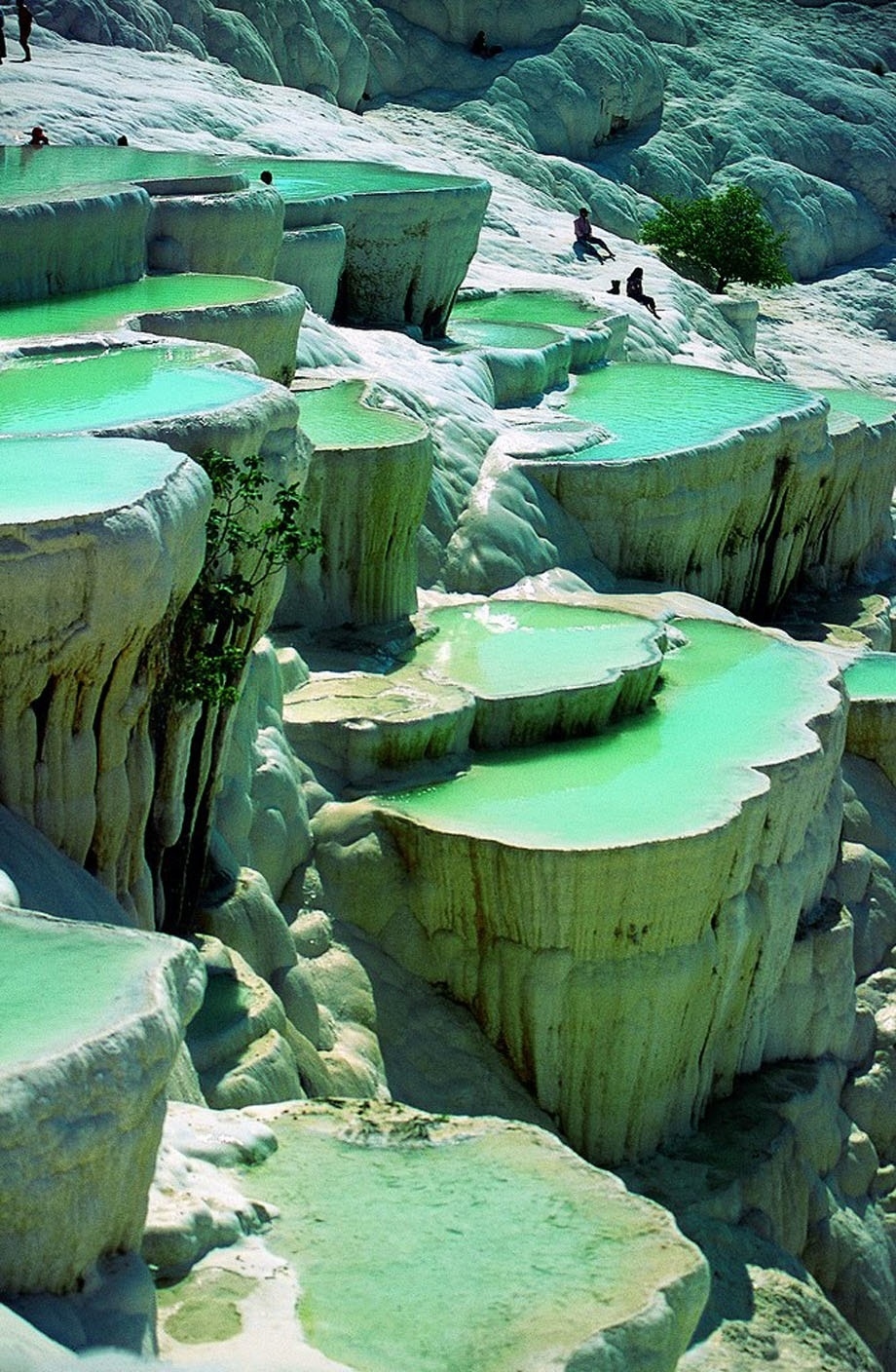 In a natural rock pool in Pamukkale, Turkey