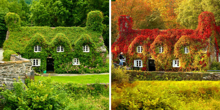 Beautiful Places Transformation In Autumn