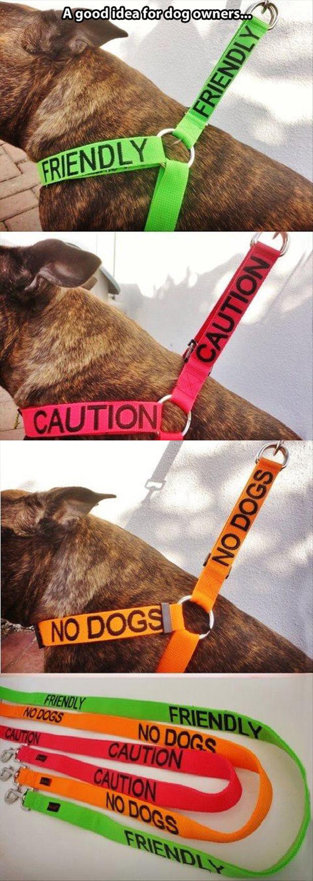 Dog Owners Must Have This.