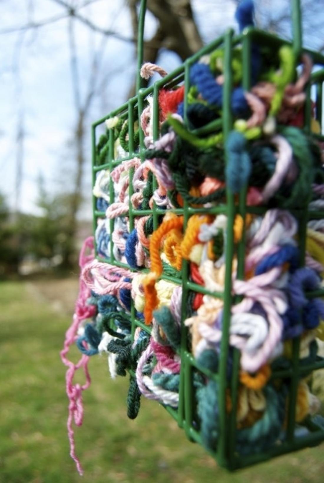 Place scraps of yarn in a suet feeder, and birds will use them to make their nests.