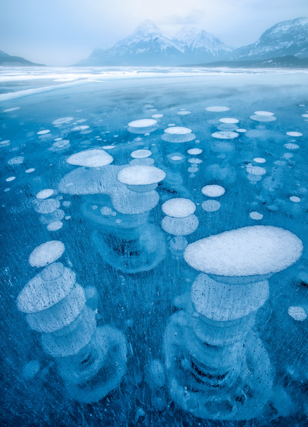 Frozen air bubbles in Abraham Lake.