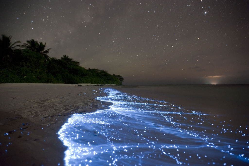Shimmering shores of Vaadhoo, Maldives.
