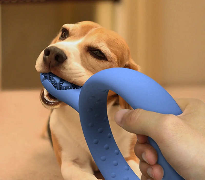 A Toothbrush That Doubles As A Dog Toy.