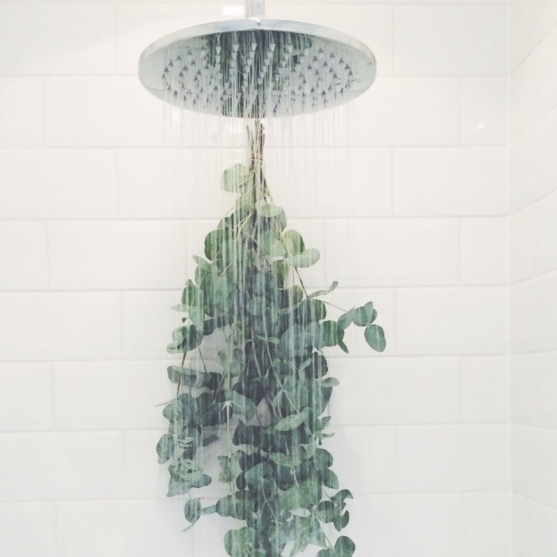 AD-Shower