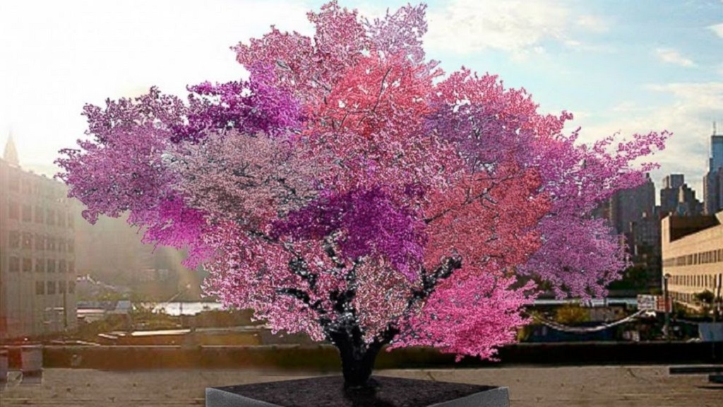 Single Tree Grows 40 Kinds Of Fruit