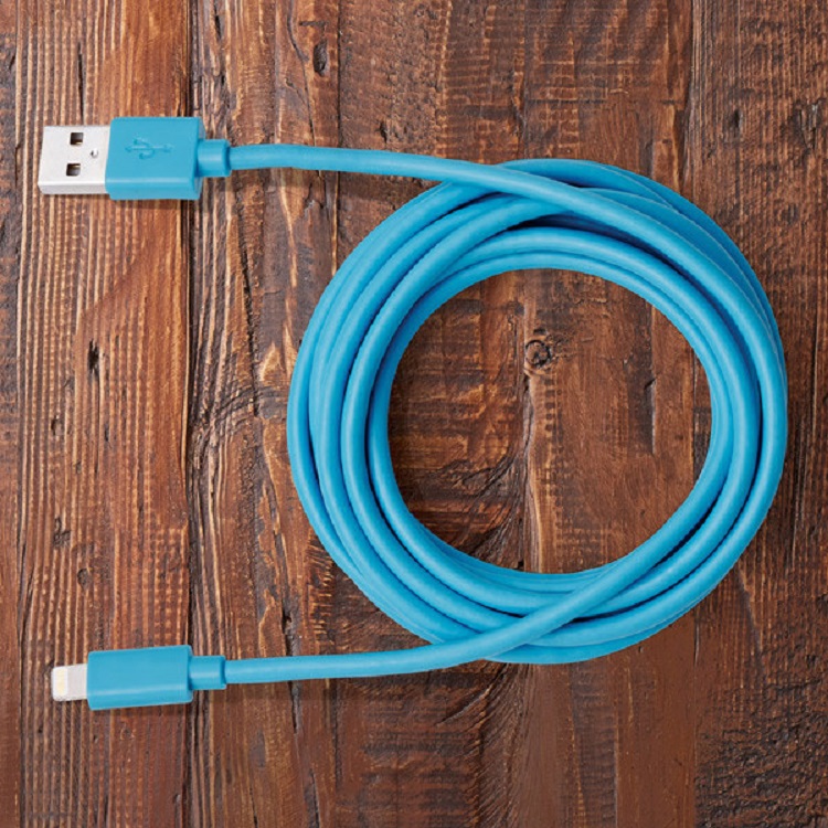 Ten-Foot iPhone Cable, $34.99