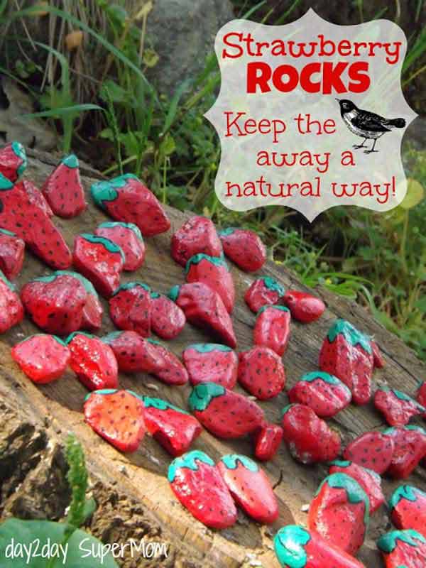 Strawberry Rocks