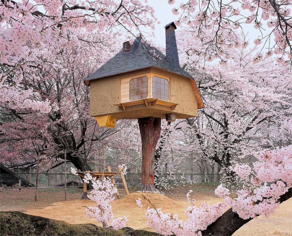Tetsu Tree House, Japan